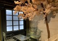 团队晋升加招聘文案（团队发展晋升与人才招募启事）
