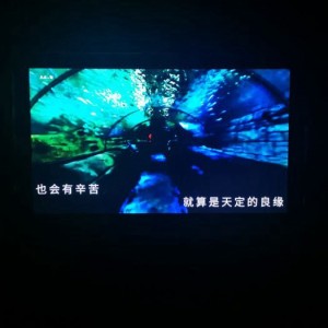 杭州拱墅区文晖街道附近夜总会招聘包厢服务员,可以兼职吗？