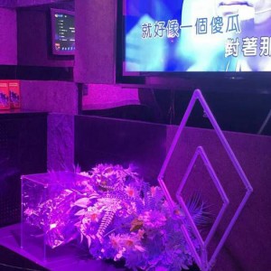 上海黄浦区五里桥街道附近酒吧招聘酒水促销员,有学历要求吗？