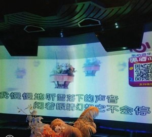 上海静安区石门二路街道附近酒吧招聘商务礼仪,有没有年龄限制_